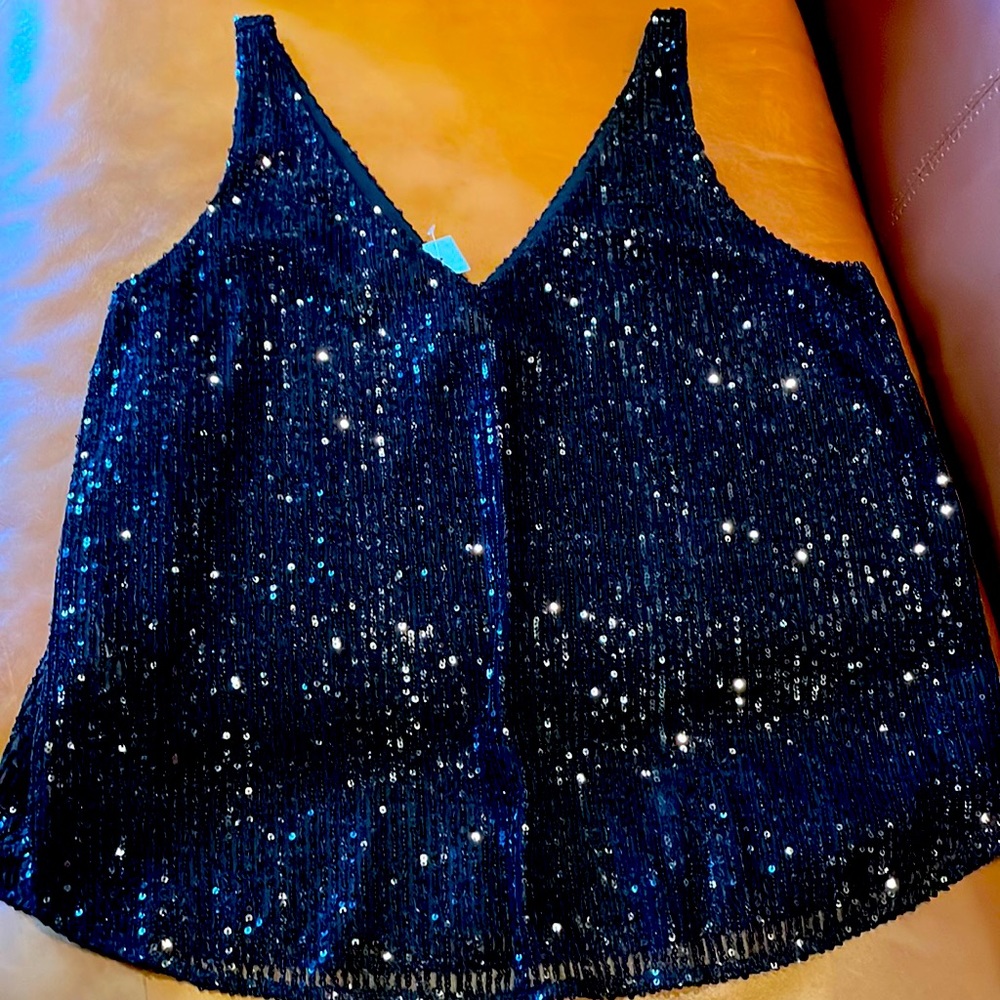 Ann Taylor Loft sequin sleeveless top